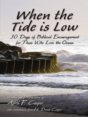 cover image of When the Tide is Low